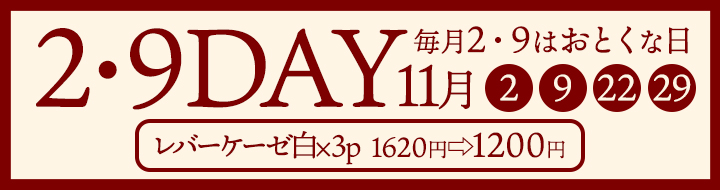 2・9DAY